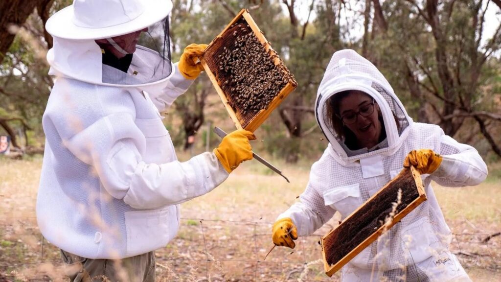 beeautify