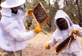 beeautify