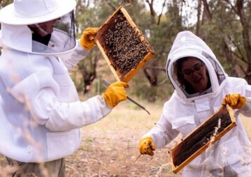 beeautify
