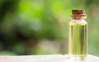 Cannabis-oil-manufacturing